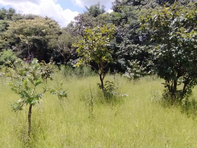 Chacaras-a-partir-de-731M²