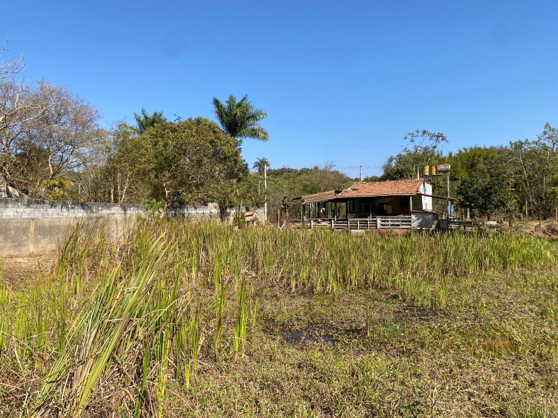 WhatsApp-Image-2024-08-12-at-11.54.17-AM-2