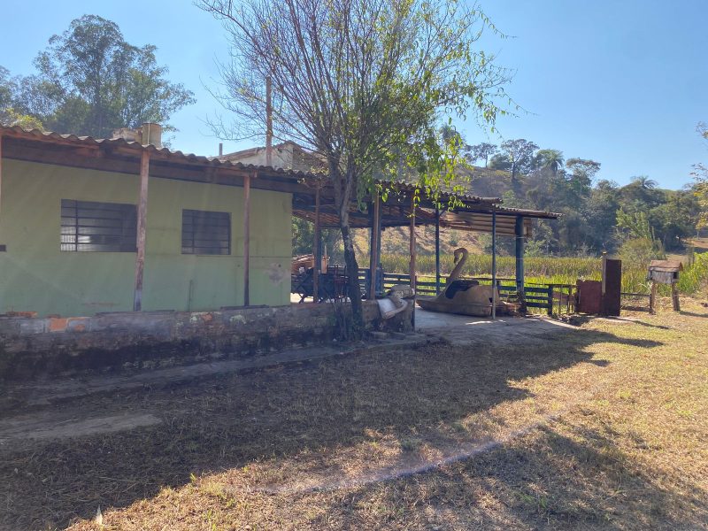 WhatsApp-Image-2024-08-12-at-11.54.18-AM-2