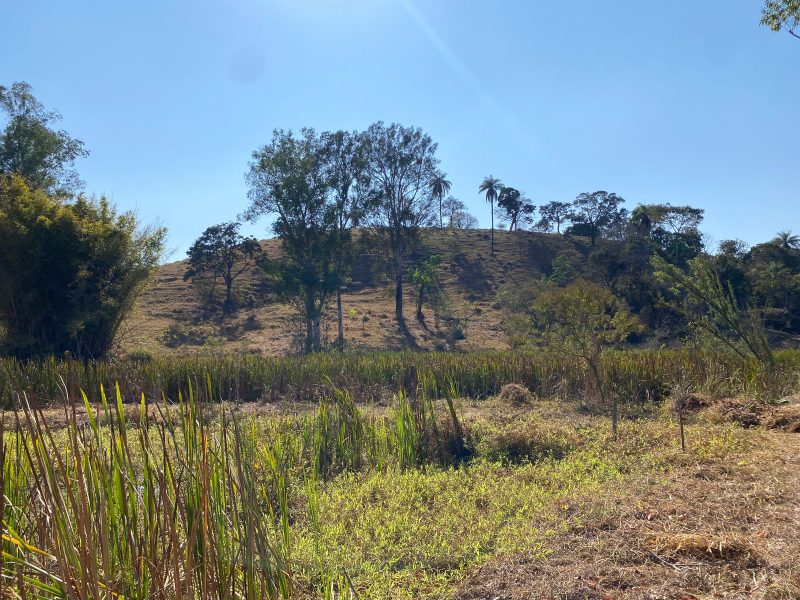 WhatsApp-Image-2024-08-12-at-11.54.18-AM-4