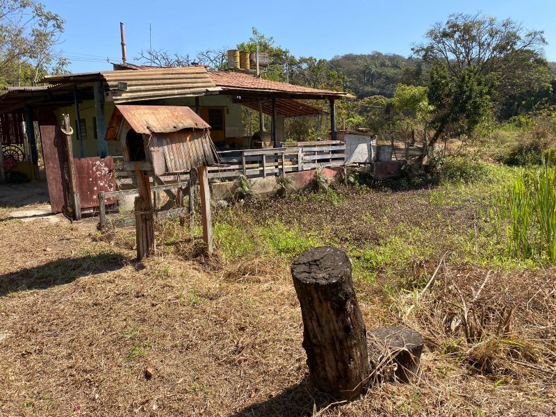 WhatsApp-Image-2024-08-12-at-11.54.27-AM-1