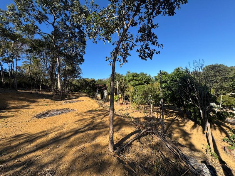 WhatsApp-Image-2025-07-01-at-15.03.34-6