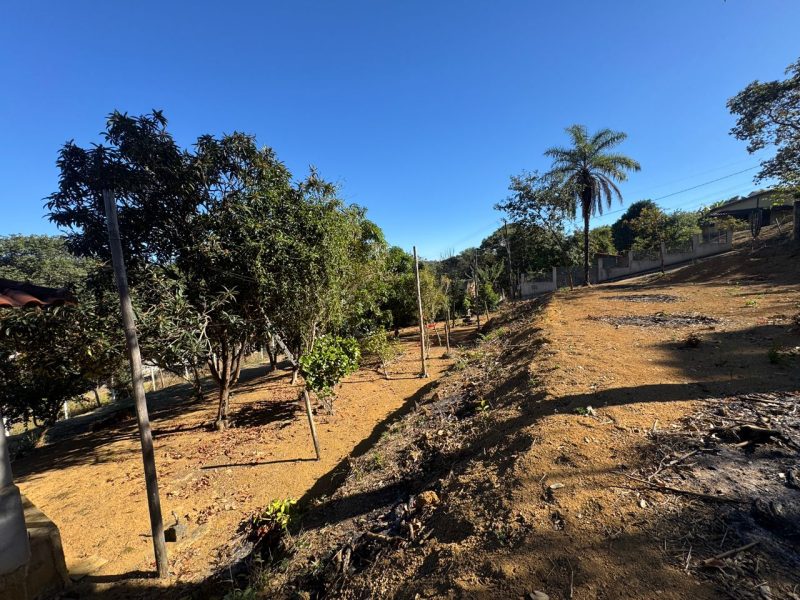 WhatsApp-Image-2025-07-01-at-15.03.36-6