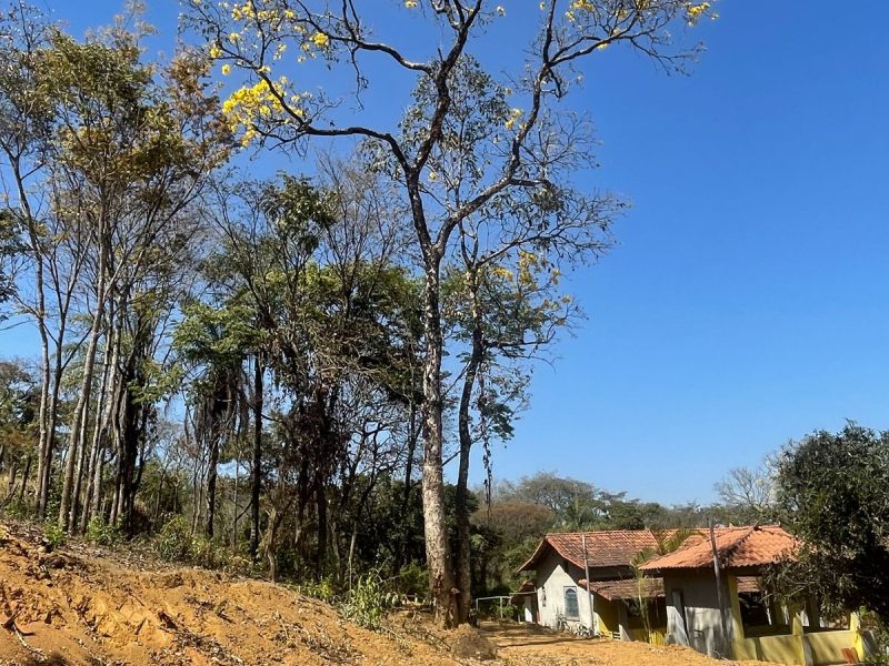 WhatsApp-Image-2025-07-01-at-15.30.44