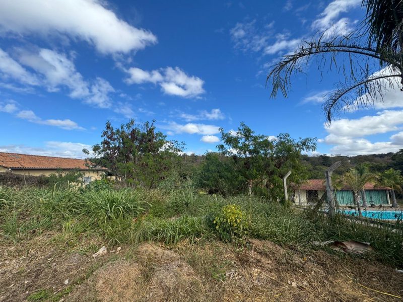 WhatsApp-Image-2025-07-04-at-11.33.35