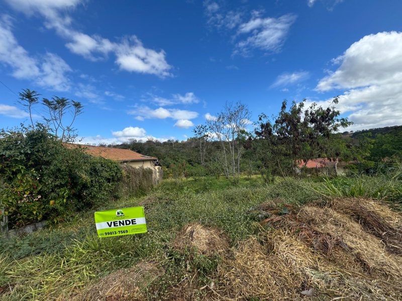 WhatsApp-Image-2025-07-04-at-11.33.37