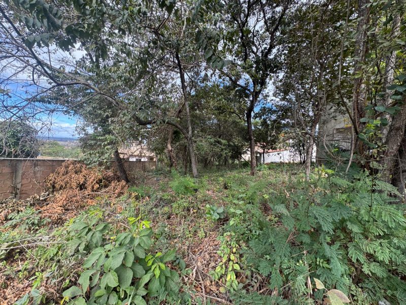 WhatsApp-Image-2025-07-04-at-19.06.33-1