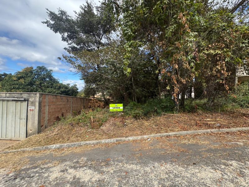 WhatsApp-Image-2025-07-04-at-19.06.33-2