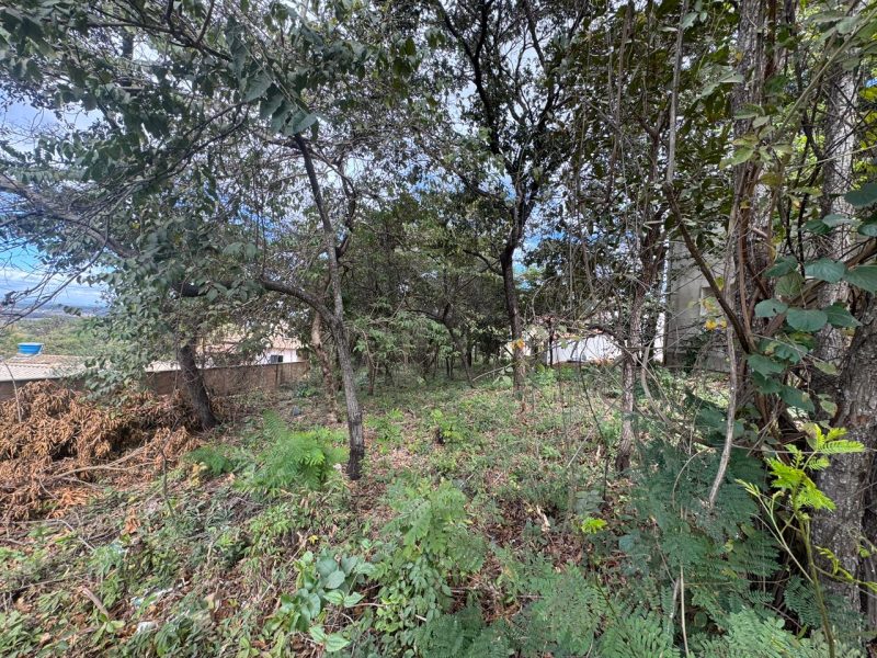 WhatsApp-Image-2025-07-04-at-19.06.33