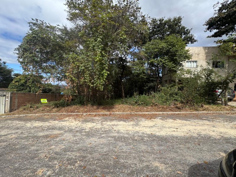 WhatsApp-Image-2025-07-04-at-19.06.34-1