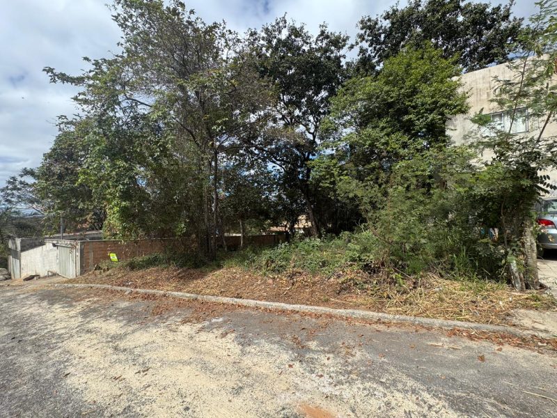 WhatsApp-Image-2025-07-04-at-19.06.34