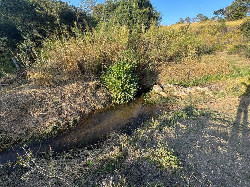 WhatsApp-Image-2025-07-18-at-21.30.46-2-1