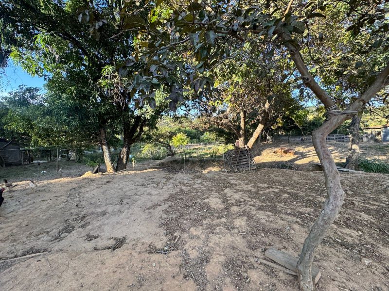 WhatsApp-Image-2025-07-18-at-21.30.48-1-5