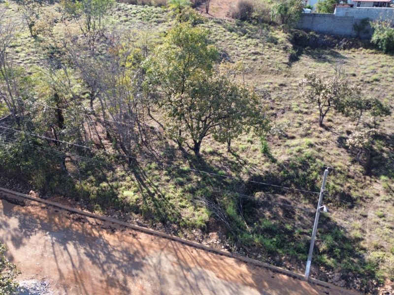 WhatsApp-Image-2025-07-27-at-08.37.23-2