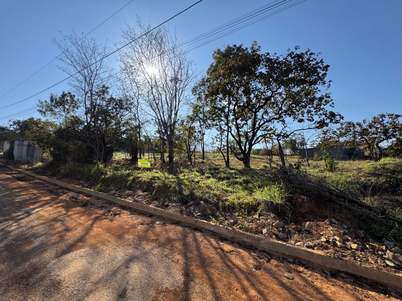 WhatsApp-Image-2025-07-27-at-08.37.24-4