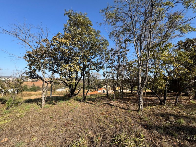 WhatsApp-Image-2025-07-27-at-08.37.24-7