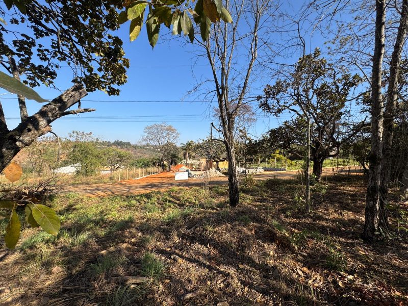 WhatsApp-Image-2025-07-27-at-08.37.25-4