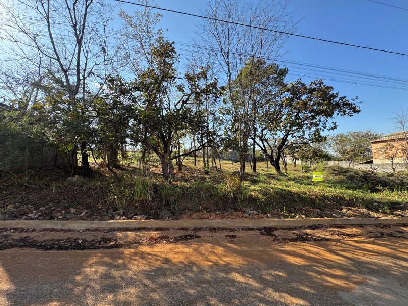 WhatsApp-Image-2025-07-27-at-08.37.25-5