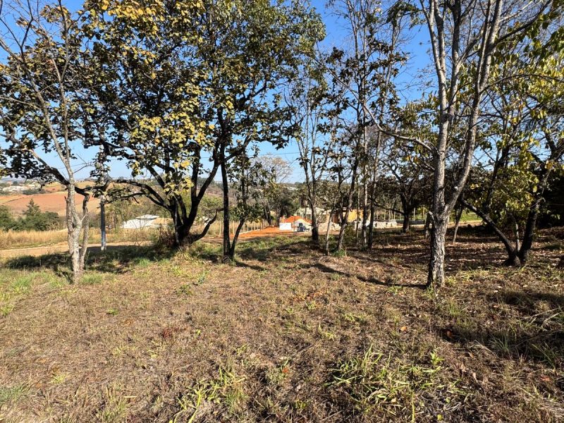 WhatsApp-Image-2025-07-27-at-08.37.25-6