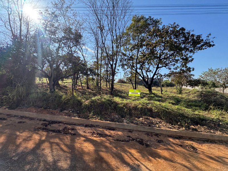 WhatsApp-Image-2025-07-27-at-08.37.25-7-1