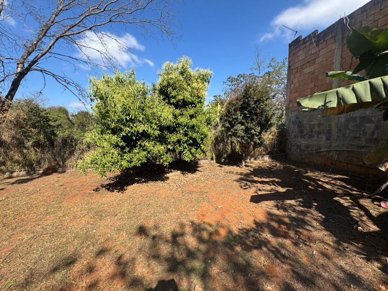 WhatsApp-Image-2025-08-03-at-08.02.54-2-3