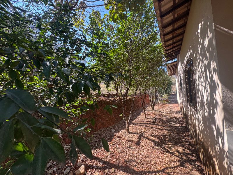 WhatsApp-Image-2025-08-03-at-08.02.55-5