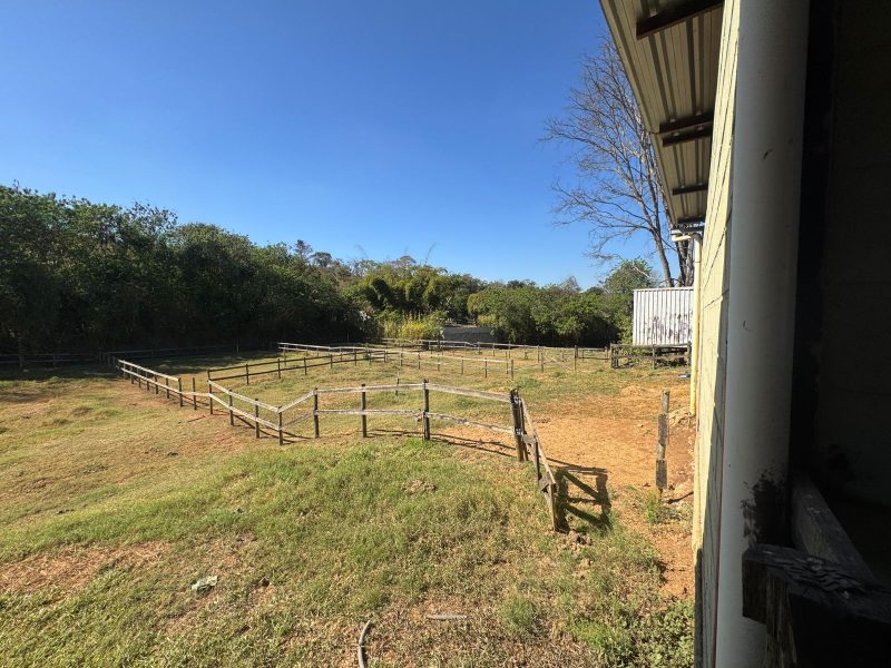 WhatsApp-Image-2025-08-03-at-08.58.45-3