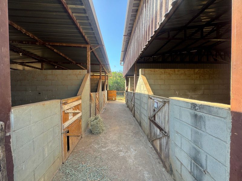 WhatsApp-Image-2025-08-03-at-08.58.45