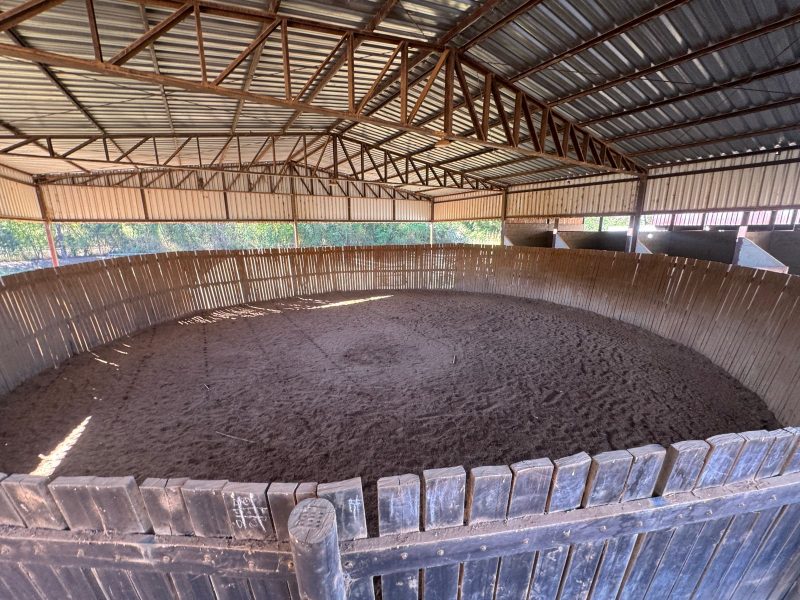 WhatsApp-Image-2025-08-03-at-08.58.46-1