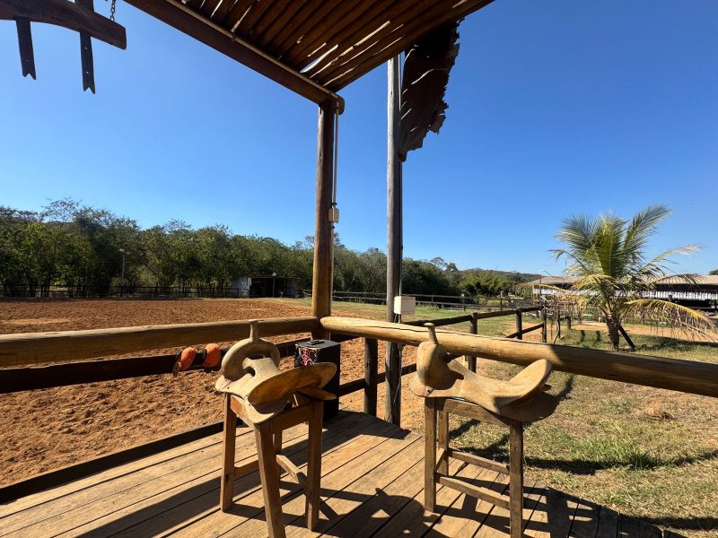 WhatsApp-Image-2025-08-03-at-08.58.46-2