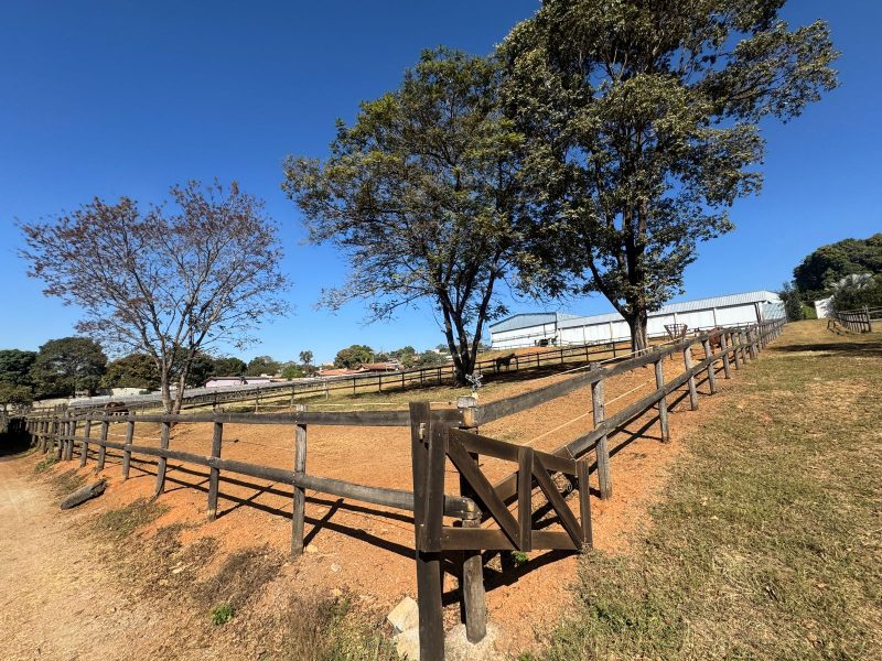 WhatsApp-Image-2025-08-03-at-08.58.49-1