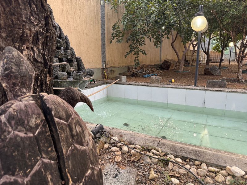 WhatsApp-Image-2025-08-13-at-07.39.35-1