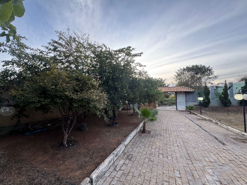 WhatsApp-Image-2025-08-13-at-07.39.35-2