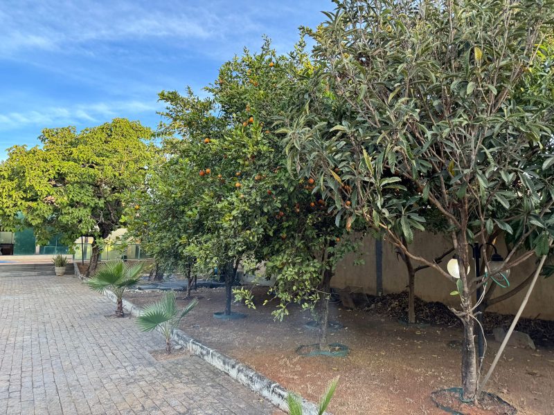 WhatsApp-Image-2025-08-13-at-07.39.36