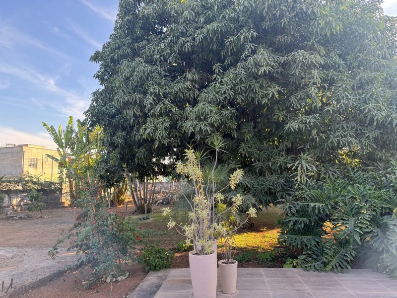 WhatsApp-Image-2025-09-03-at-11.38.19-1-2