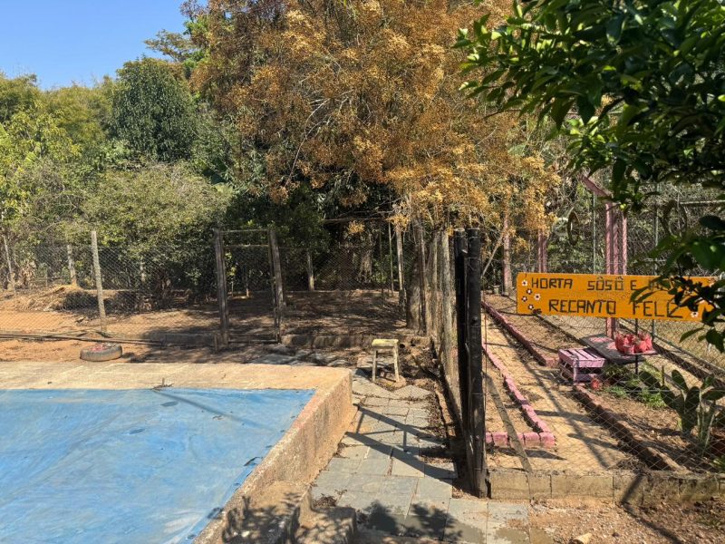 WhatsApp-Image-2025-09-17-at-16.13.26-5-1