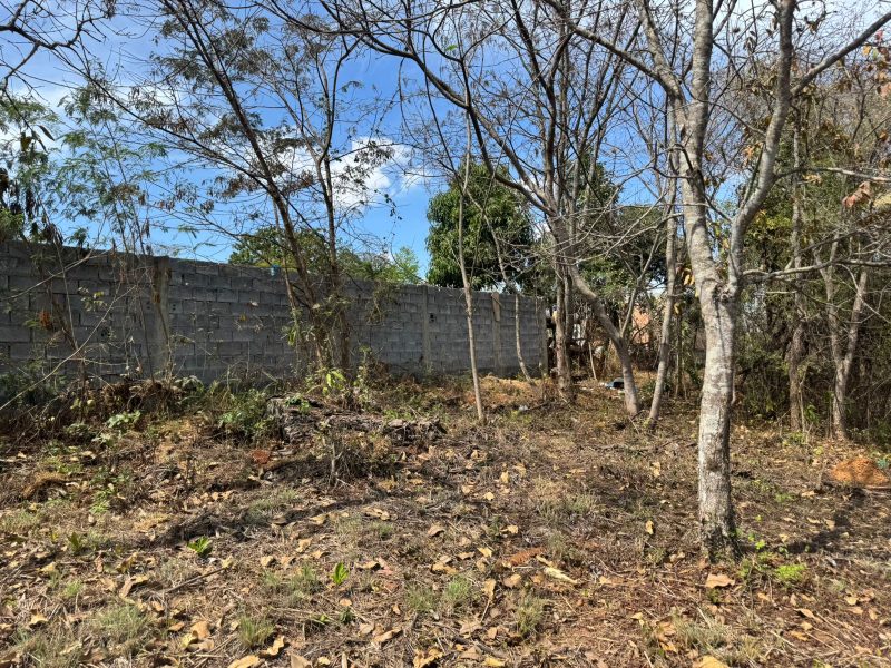 WhatsApp-Image-2025-09-19-at-13.03.57-2-1