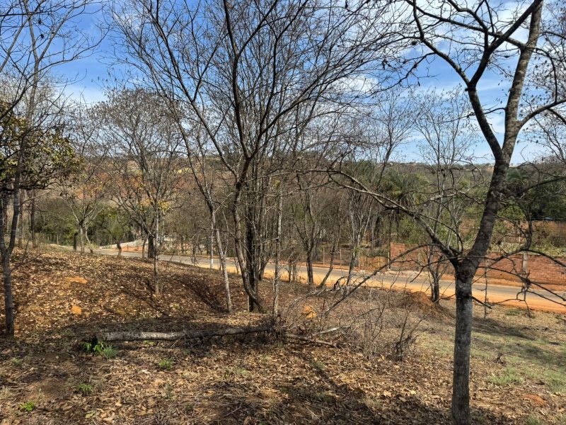 WhatsApp-Image-2025-09-19-at-13.03.57-3-1