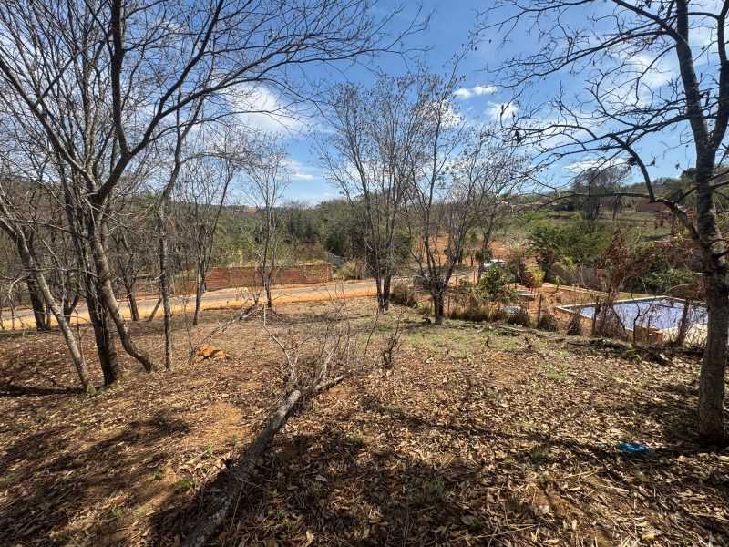 WhatsApp-Image-2025-09-19-at-13.03.58-1-1