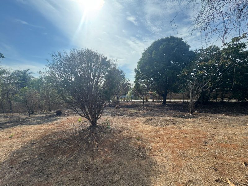 WhatsApp-Image-2025-10-17-at-21.02.14-1