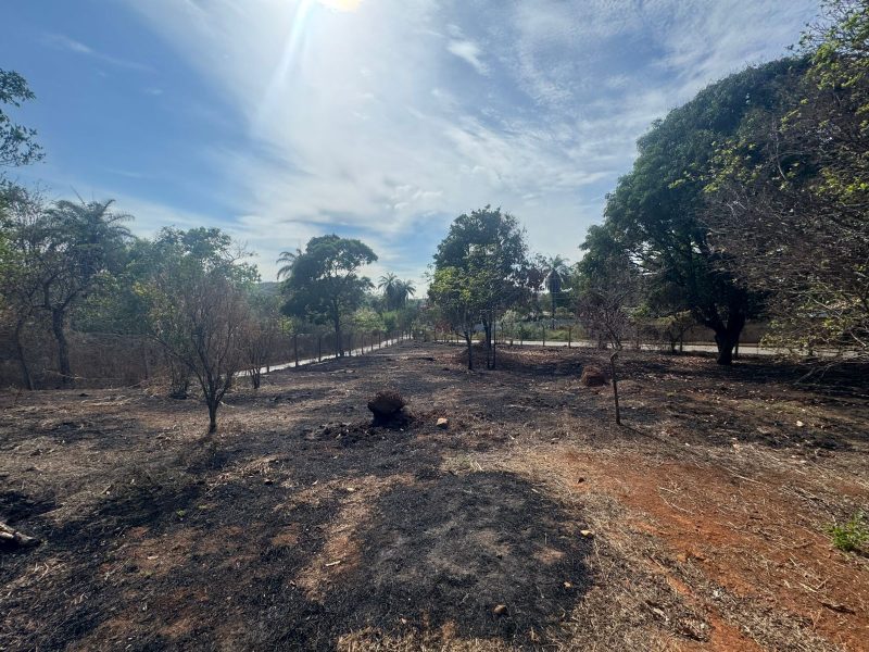 WhatsApp-Image-2025-10-17-at-21.02.15