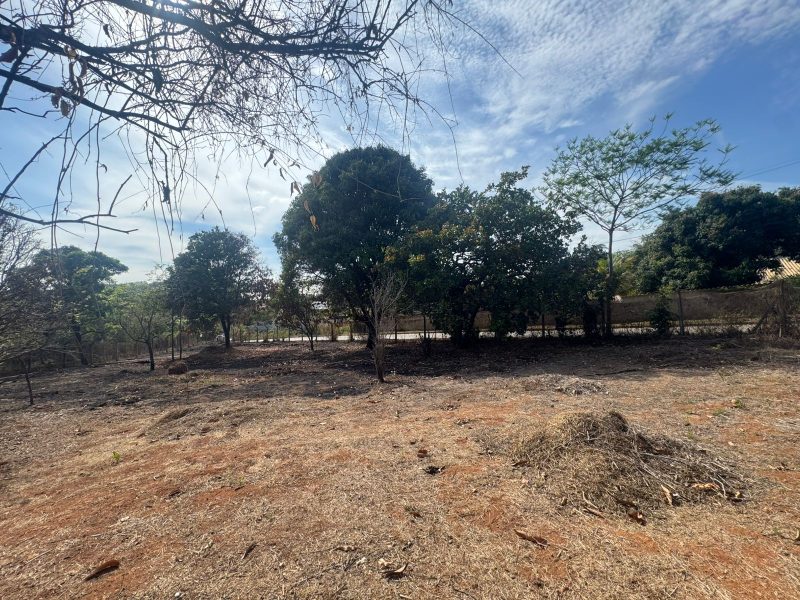 WhatsApp-Image-2025-10-17-at-21.02.16-1