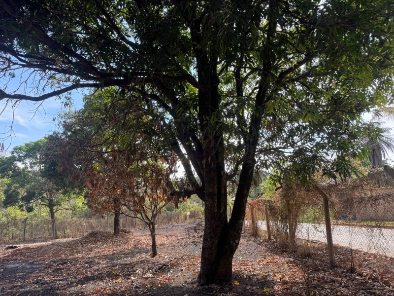 WhatsApp-Image-2025-10-17-at-21.02.16-2