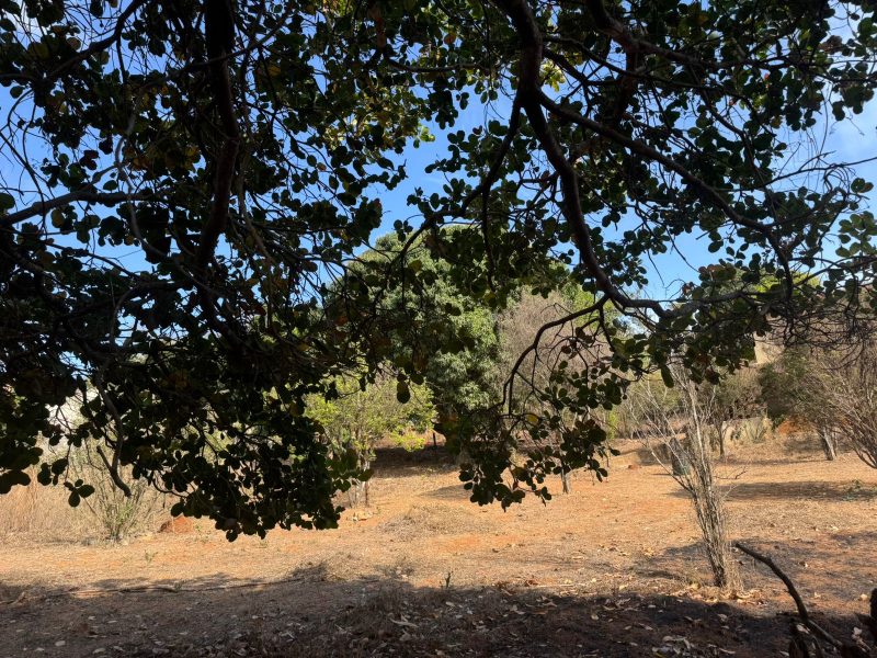 WhatsApp-Image-2025-10-17-at-21.02.43