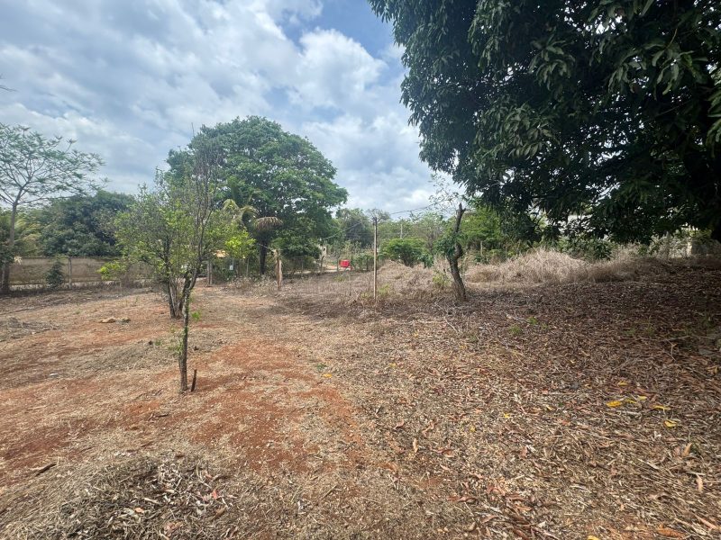 WhatsApp-Image-2025-10-17-at-22.49.00-1