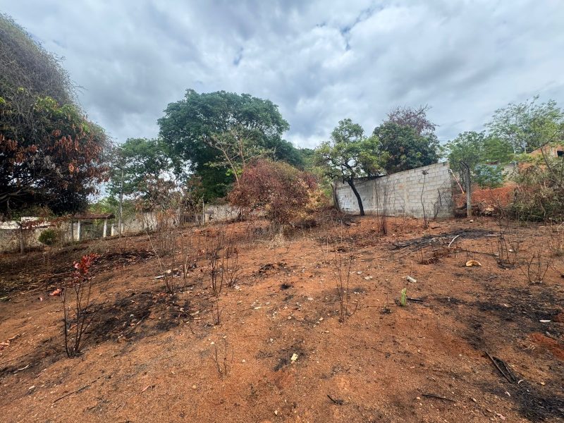 WhatsApp-Image-2025-10-28-at-07.35.10-1