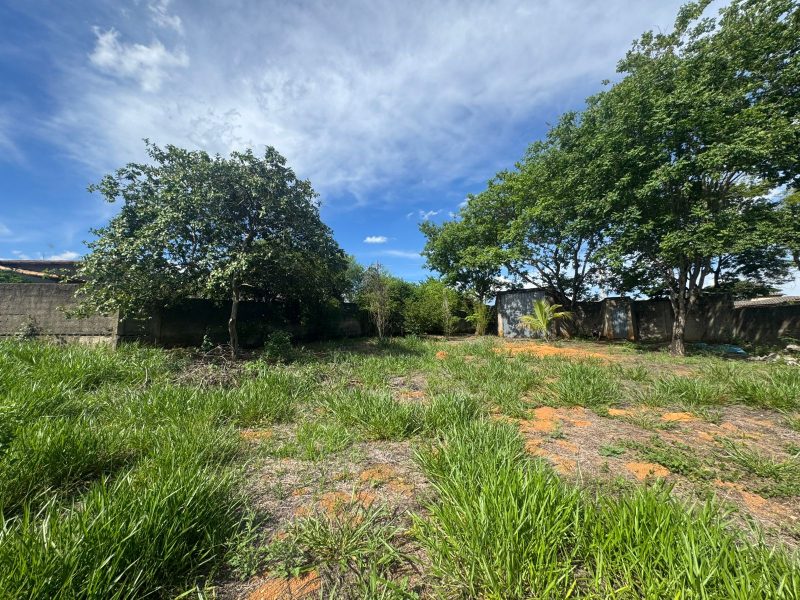 WhatsApp-Image-2025-12-08-at-09.13.53-1