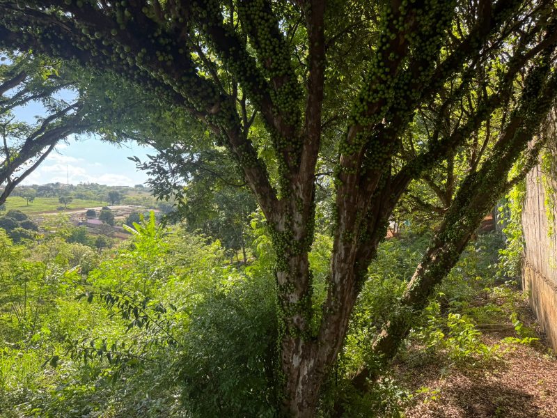 WhatsApp-Image-2025-12-08-at-09.13.56