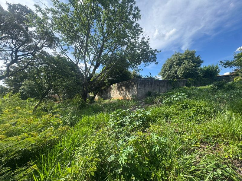 WhatsApp-Image-2025-12-08-at-09.13.58-3