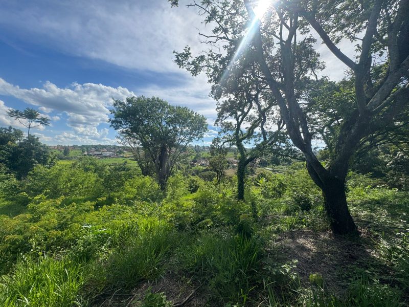 WhatsApp-Image-2025-12-08-at-09.13.59